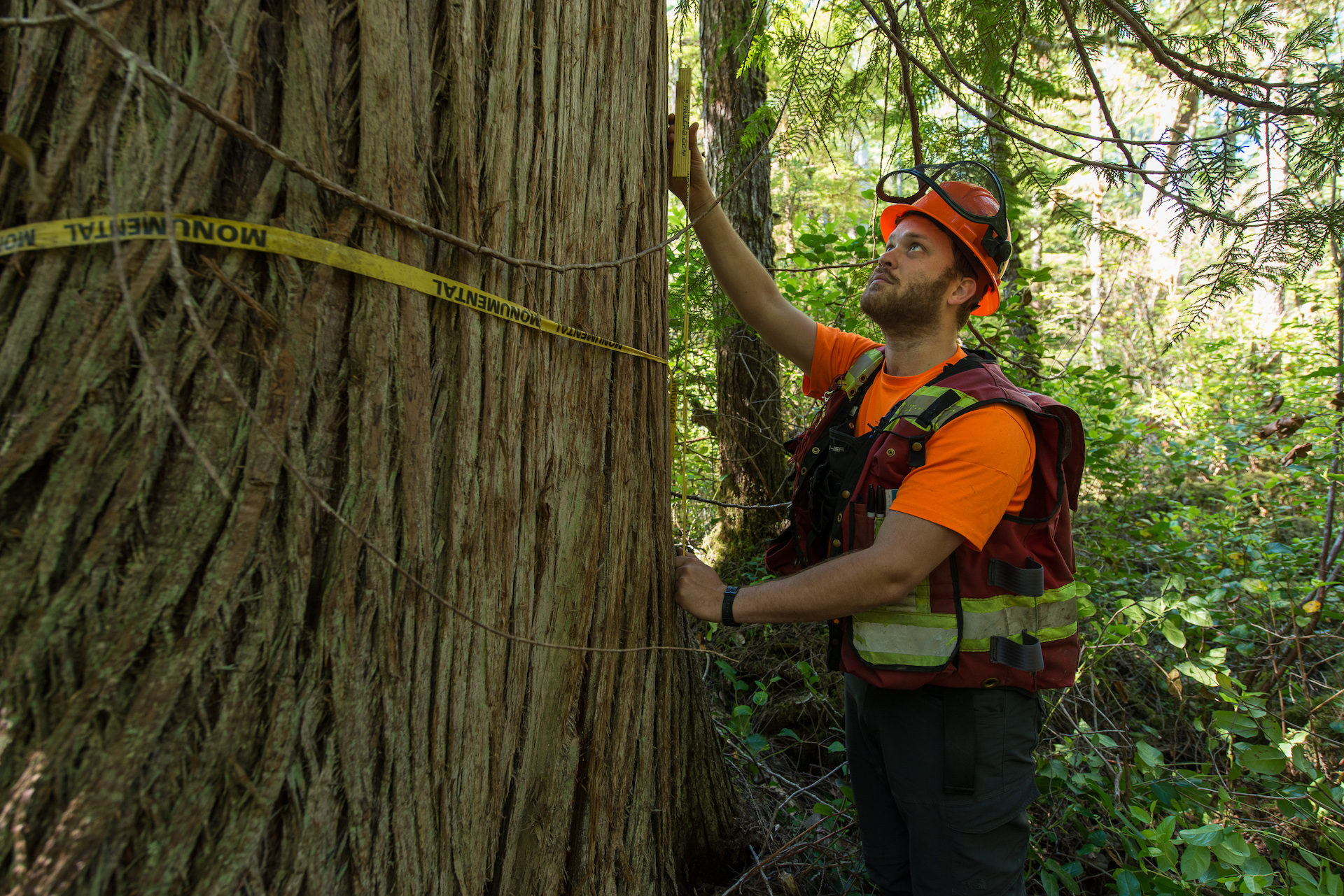 Old Cedars Trail