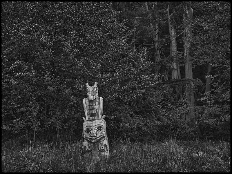 Totem figure at the forest's edge, black and white