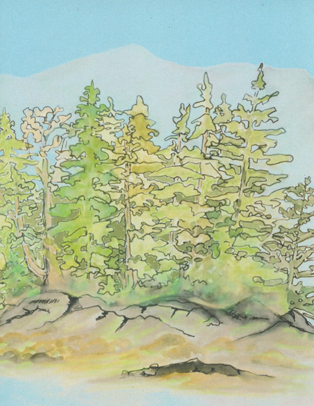 Watercolour greeting card, island forest and mountain