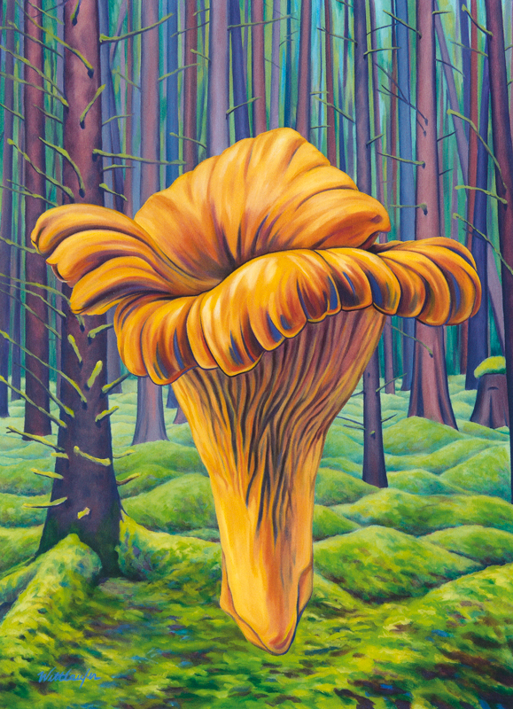 Chanterelle mushroom rising from the forest floor