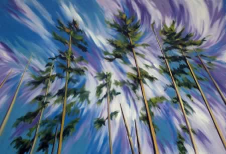 Tall pines swaying against a swirling sky