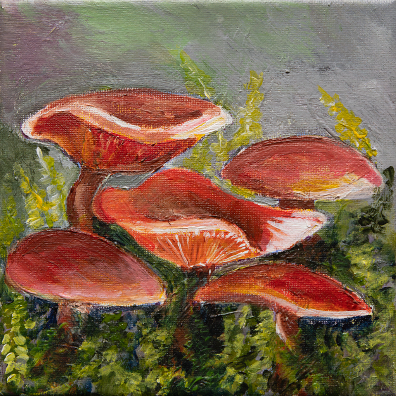 Cluster of forest mushrooms, acrylic on canvas