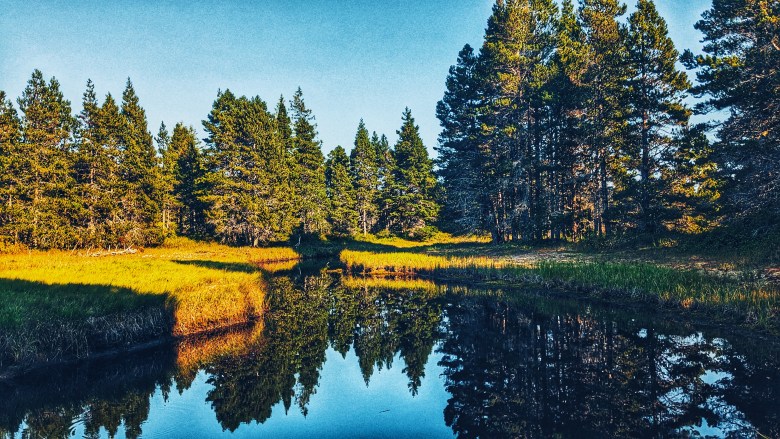 Gold Creek Walk