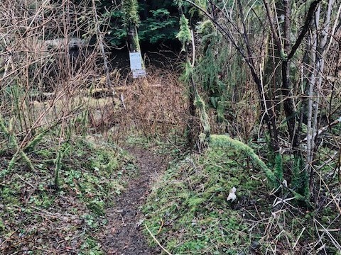 Wiggins Road Trail