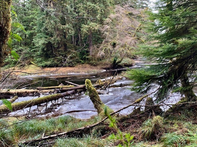 Wiggins Road Trail