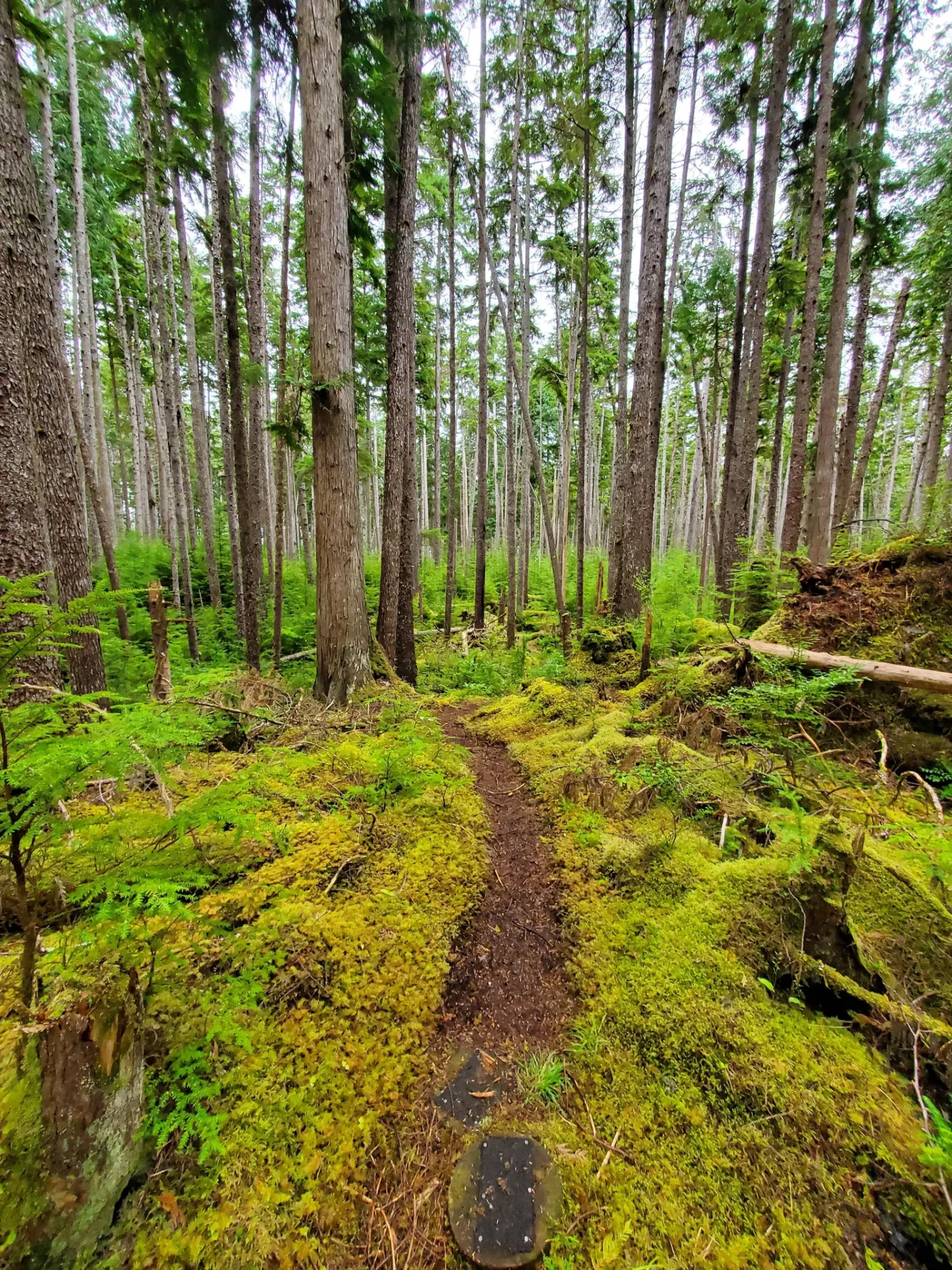 Anvil Trail