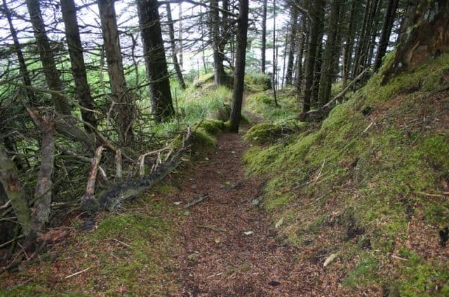St. Mary’s Spring Trail