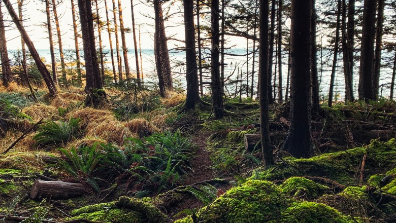 St. Mary’s Spring Trail