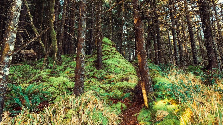 St. Mary’s Spring Trail